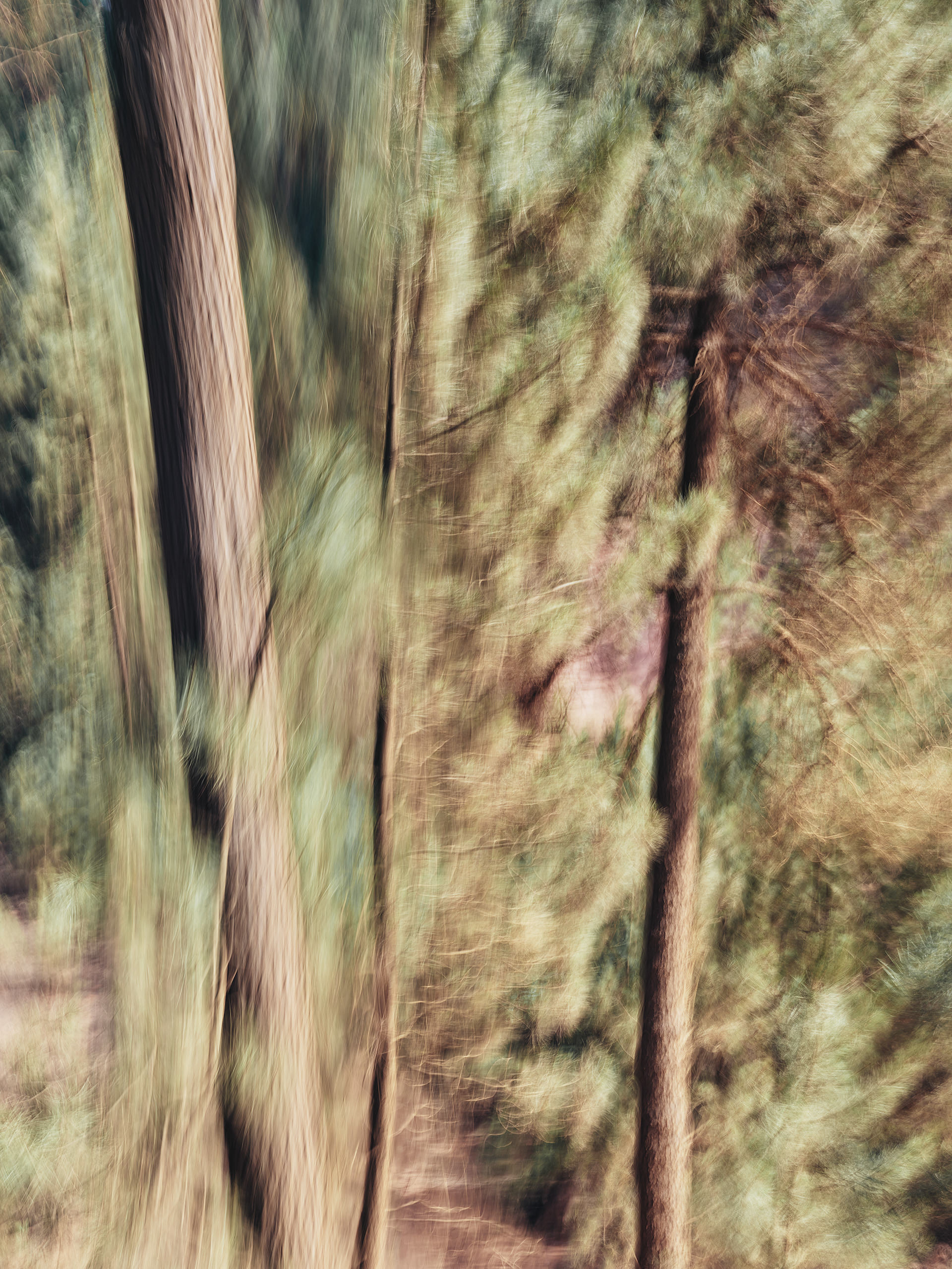 ahp0078 · Lubéron Landscapes